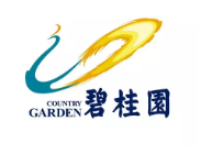 沙田镇碧桂园地产